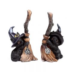 black cat with broomstick