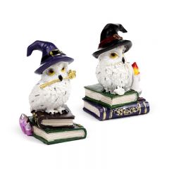 owl on spell books