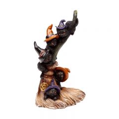 black cats climbing broomstick