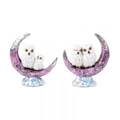 owls on moon